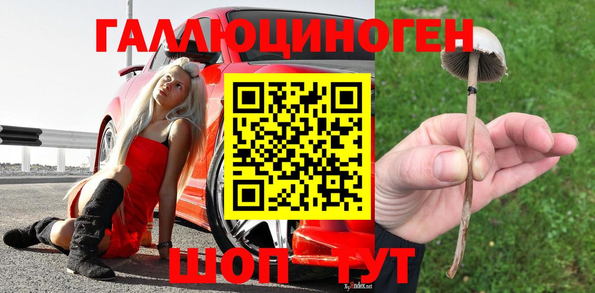 Краснознаменск  Галлюциногенные грибы прущие грибы  Вход с VPN 